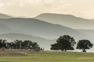 "I Lift My Eyes to the Hills"