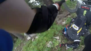 Not for the Faint of Heart