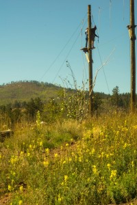 Lutheran Valley Retreat, Colorado