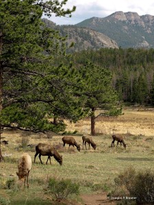 Rocky Mountain National Park, Colorado