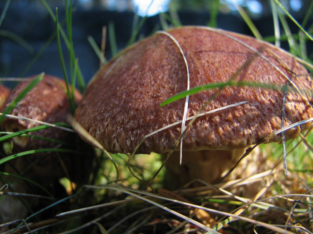 Stop Poisoning Yourself – by Laura Gohl