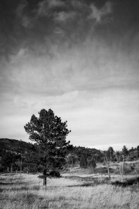 Garden of the Gods, Colorado  Springs, Colorado