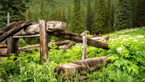 Shrine Pass, Colorado