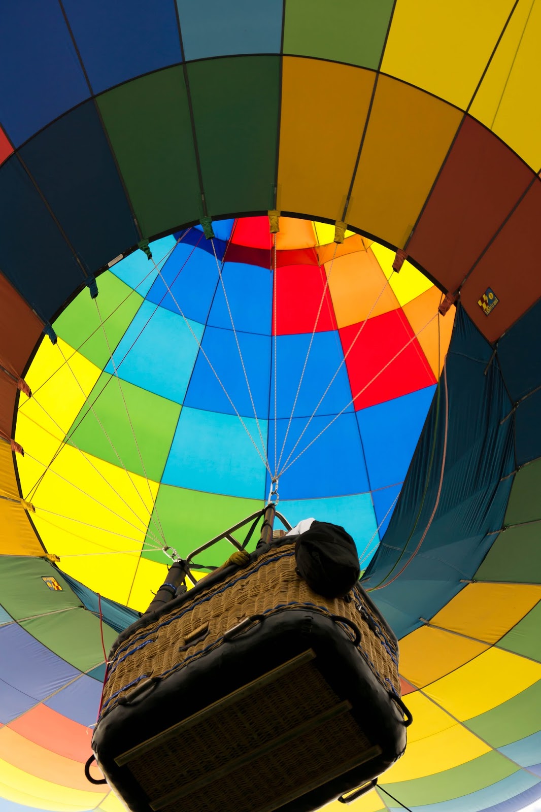 To Soar or Not to Soar, That Is the Question To Soar or Not to Soar, That Is the Question