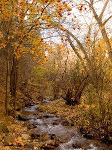 Manitou Springs, Colorado Copyright Douglas P Brauner