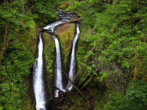 Triple Falls, Columbia River Gorge, Oregon Copyright Douglas P Brauner 