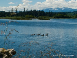 Campbell River, British Columbia
