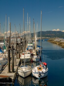Campbell River, British Columbia, Canada Copyright Douglas P Brauner