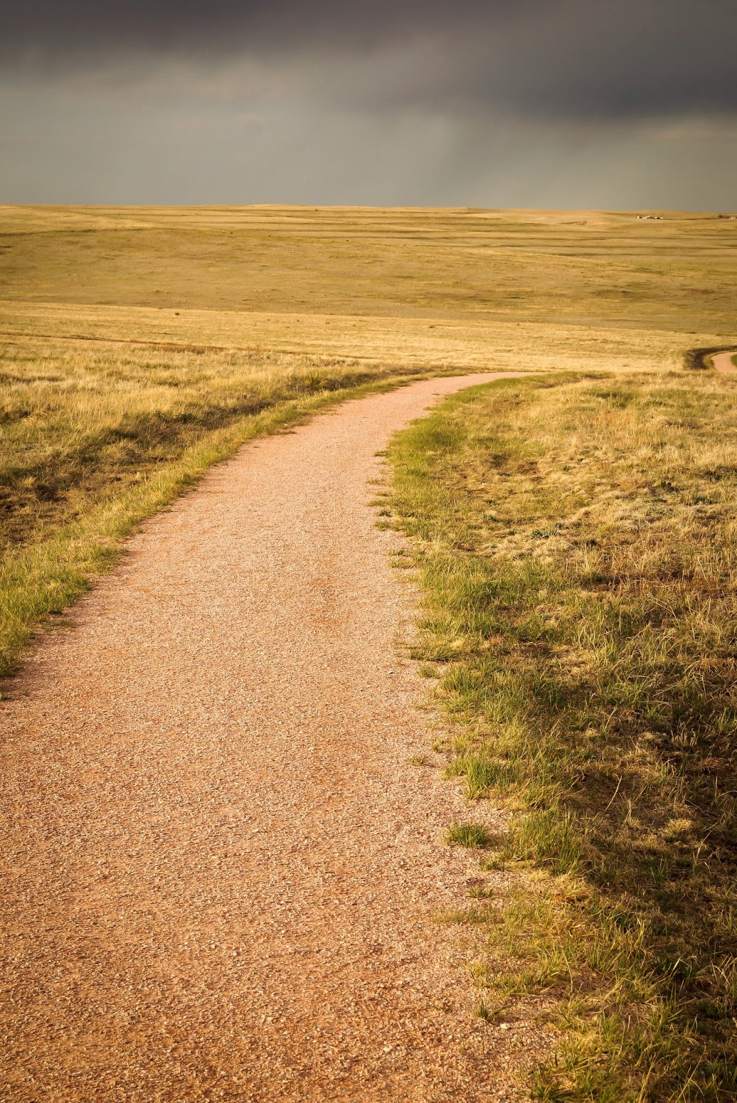 Looking for the Yellow Brick Road