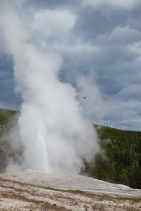 Old Faithful