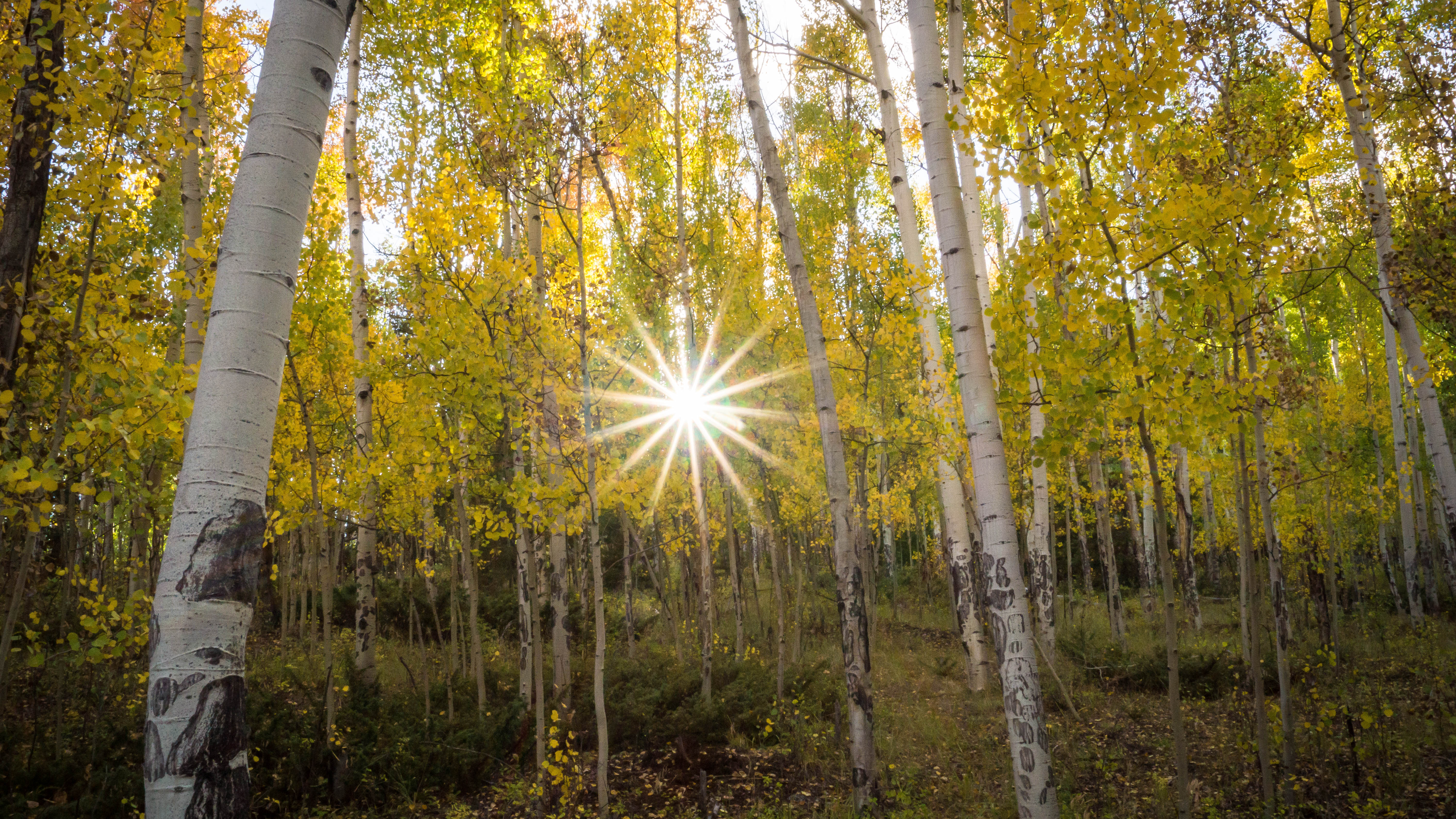 Seven Good Things About Having Cancer, Part 3B – by Gerald Givens