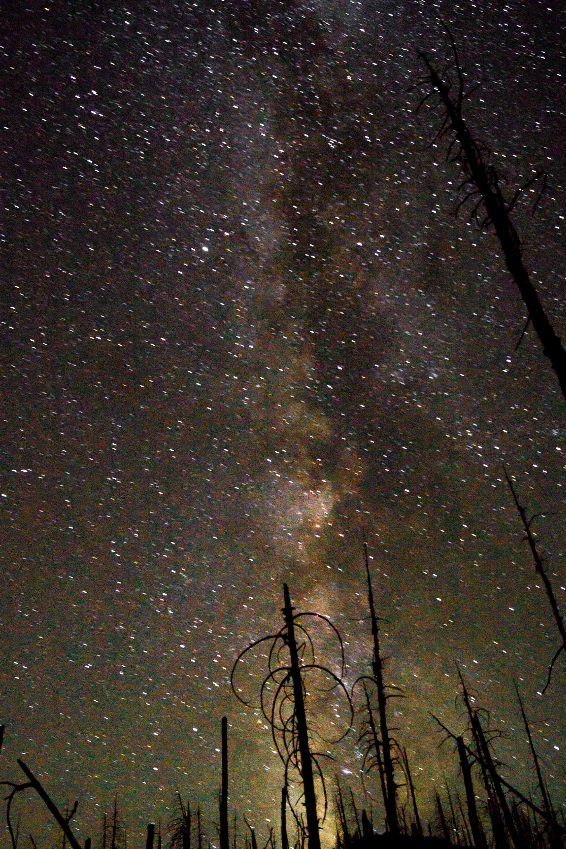 The Affirming Word of the Stars The Affirming Word of the Stars