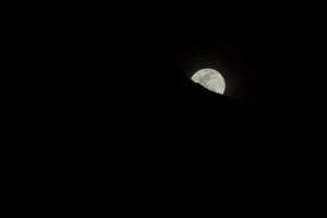 20150305-untitled (38 of 54)