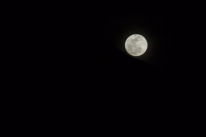 20150305-untitled (42 of 54)