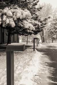 Colorado Springs