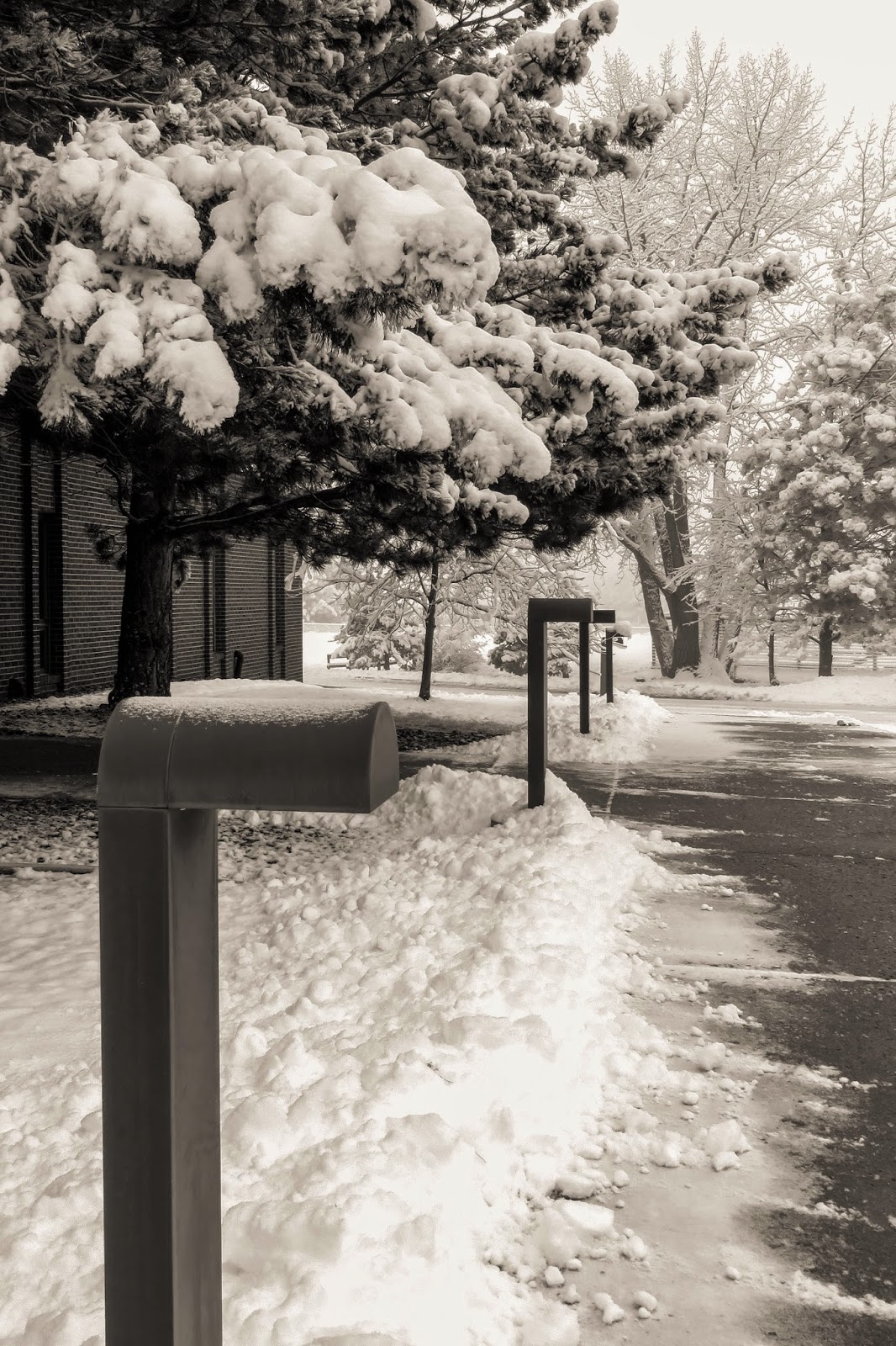 The Importance of Removing the Obstacles The Importance of Removing the Obstacles
