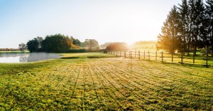 Farm Low Res