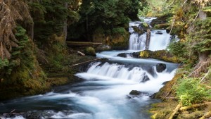 McKenzie River, Oregon
