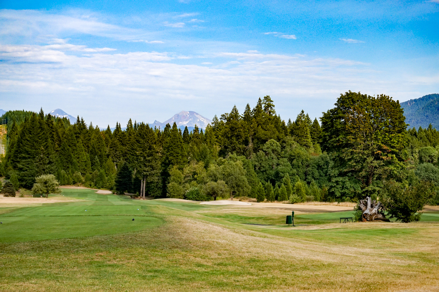 “FORE!!!”