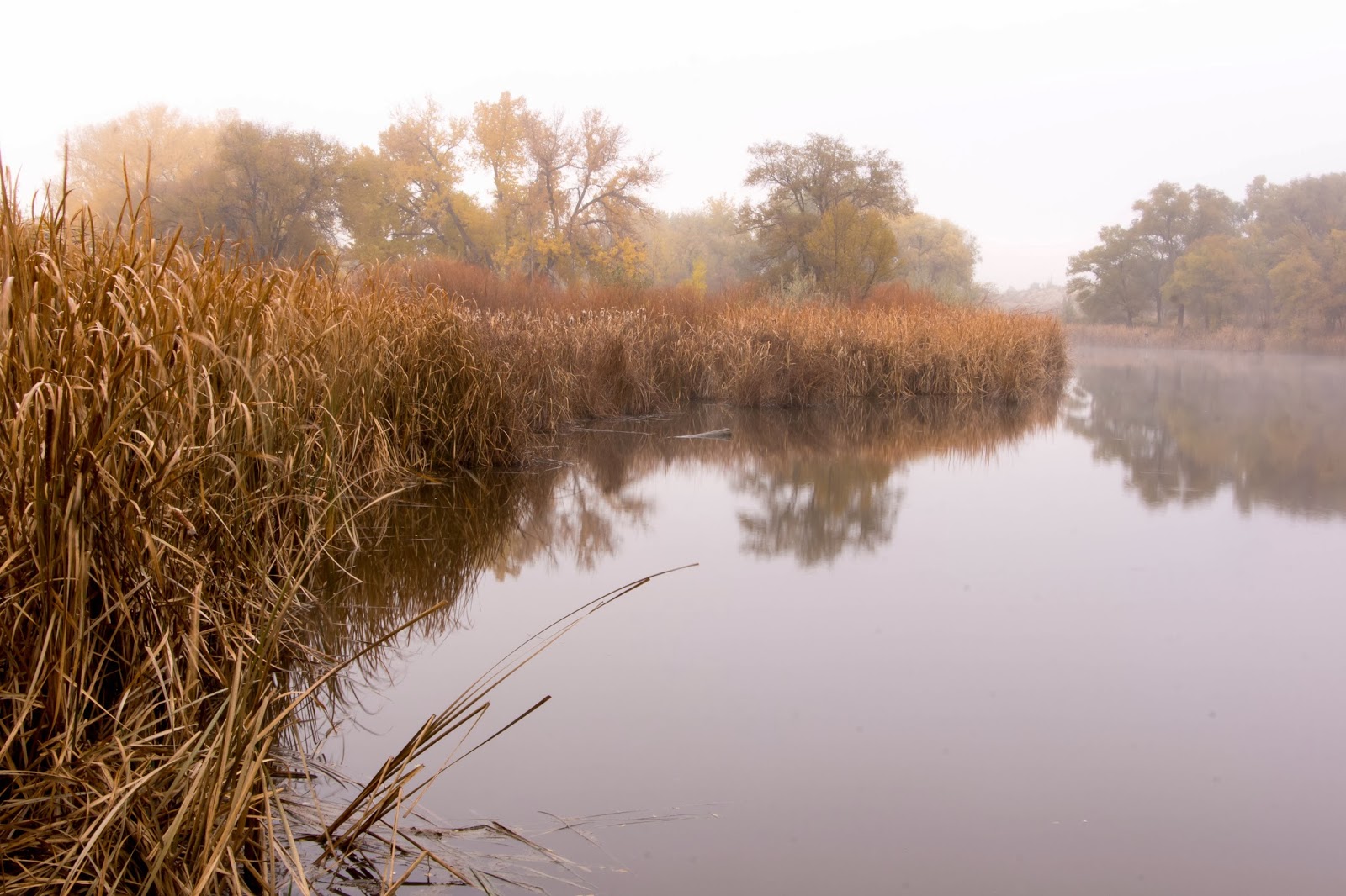 The Gift of Stillness