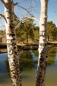 Fox Run Regional Park, Black Forest, Colorado
