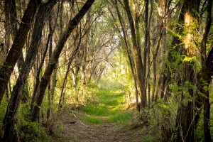 Fountain Valley Regional Park, Fountain, Colorado