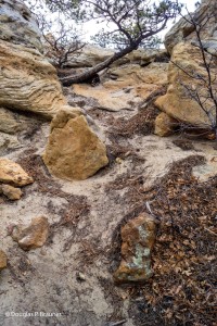 Ute Park, Colorado Springs, Colorado