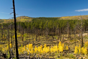 Lutheran Valley Retreat, Colorado