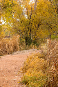 Fountain Creek Regional Park, Fountain, Colorado