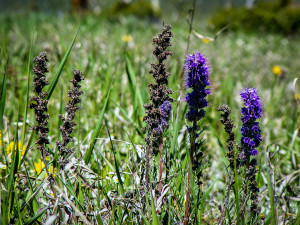Winter Park, Colorado
