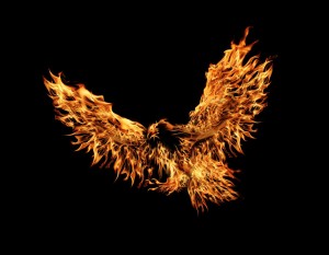 The Phoenix