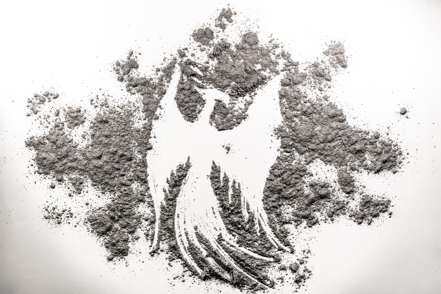 Phoenix Ashes – by Mark Vincent Vicari