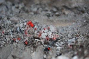 Ashes and carbons