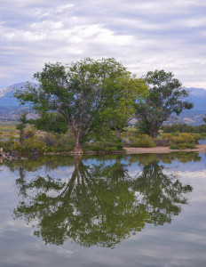 Reflections DB3.5x7