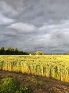 IMG_1490