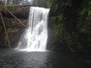 photo (2)