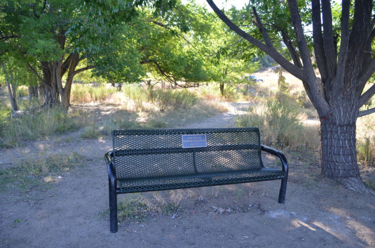 Bench at Frantz Lake