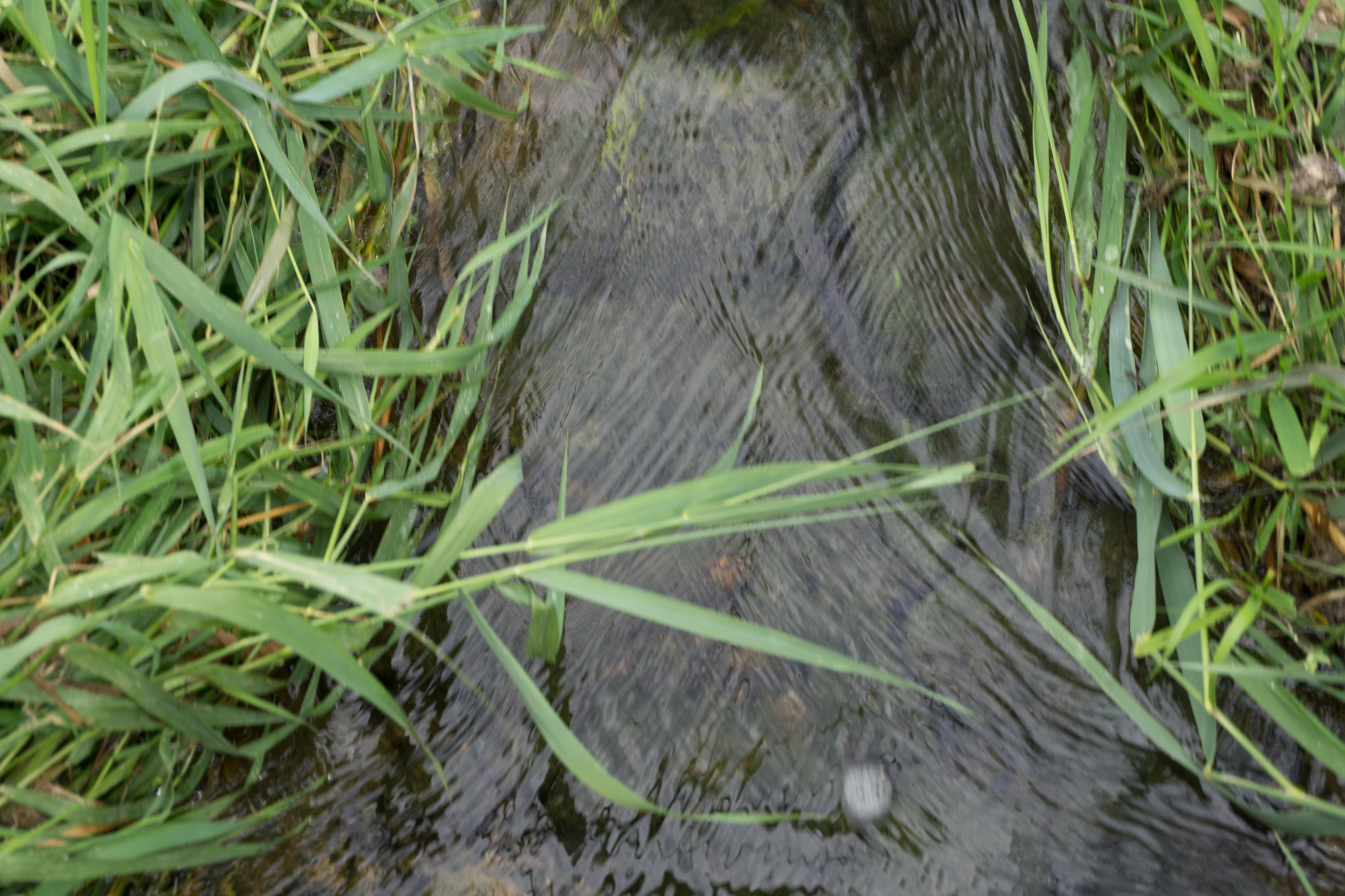 The Allurement of Water