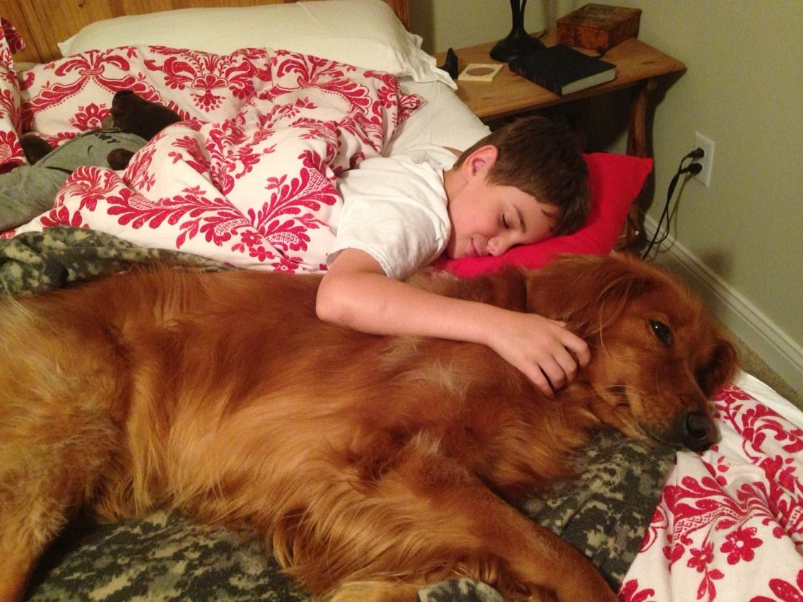 The Gentle Giant