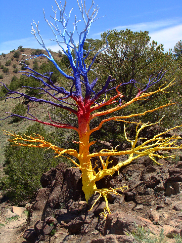 The Rainbow Tree