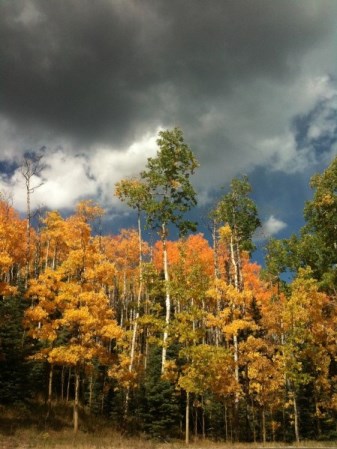 aspen-storm