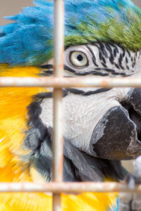 Tracy Aviary, Salt Lake City, Utah