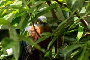 Tracy Aviary, Salt Lake City, Utah