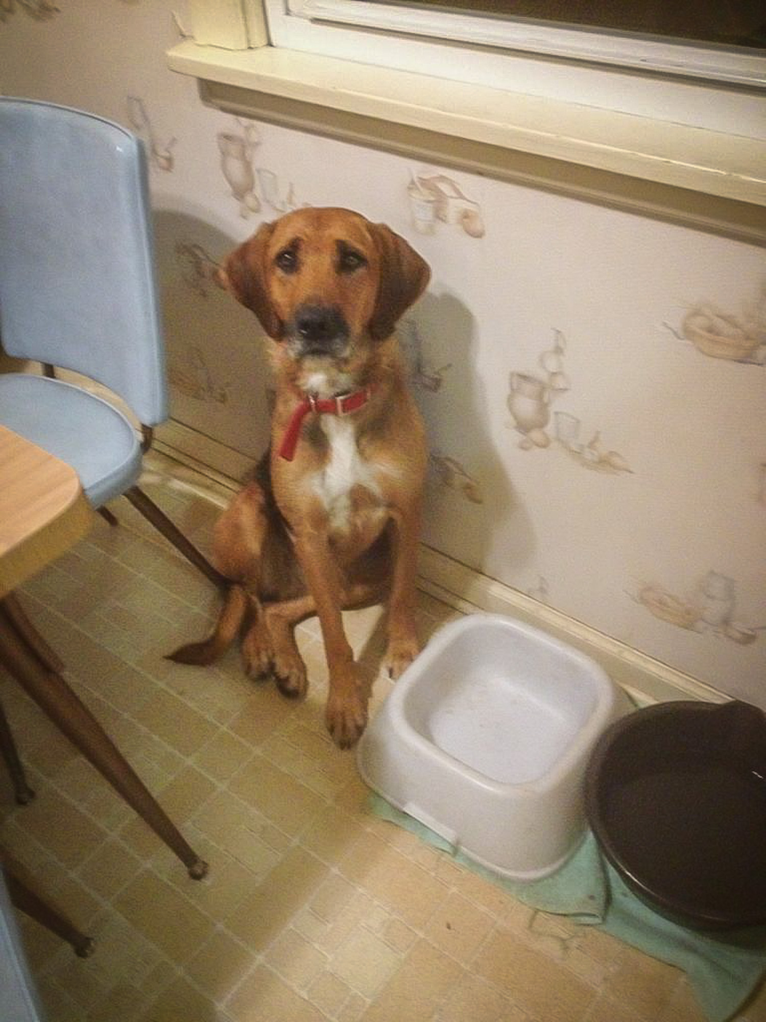 Patiently Waiting
