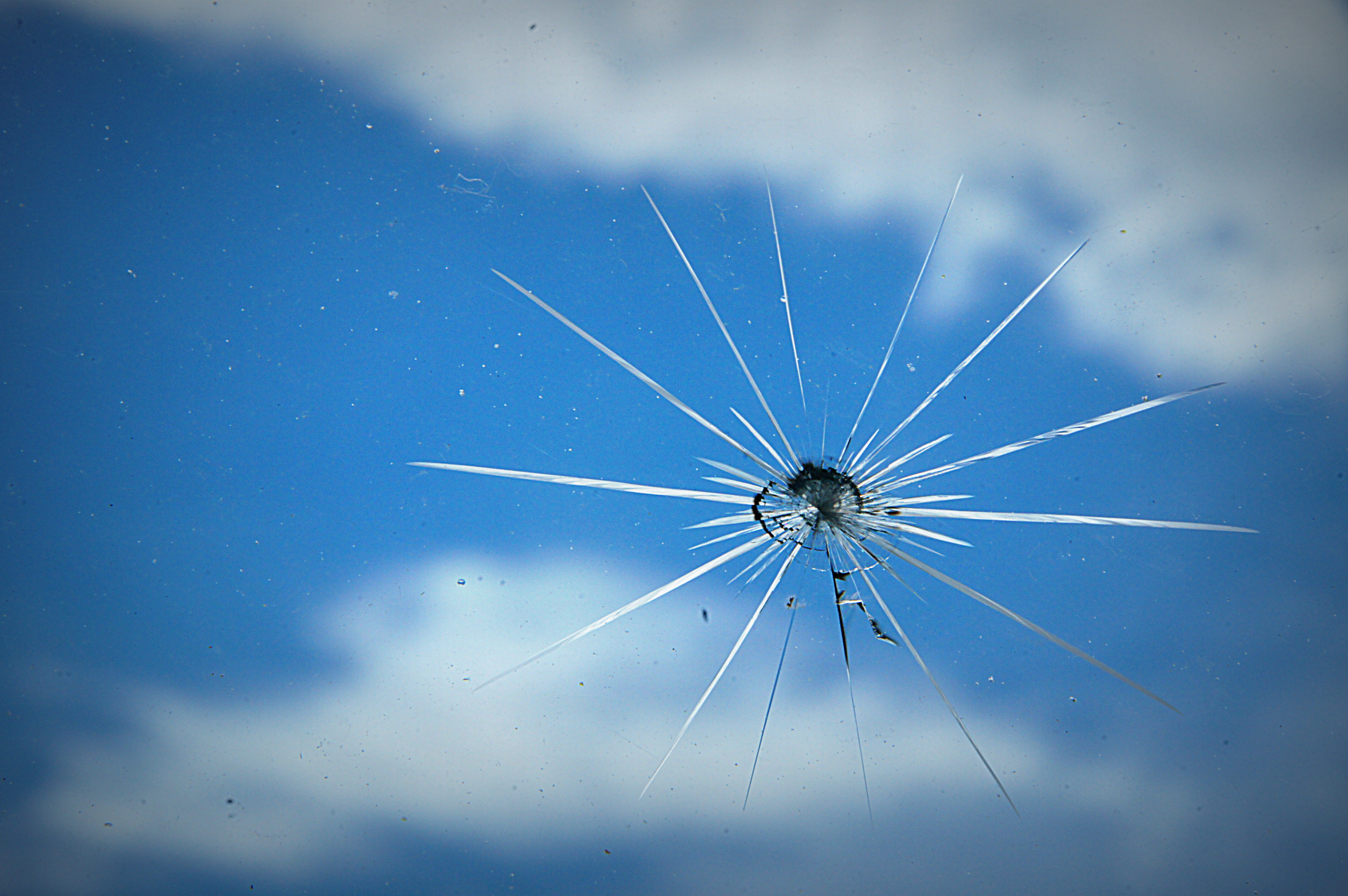 Windshields Windshields