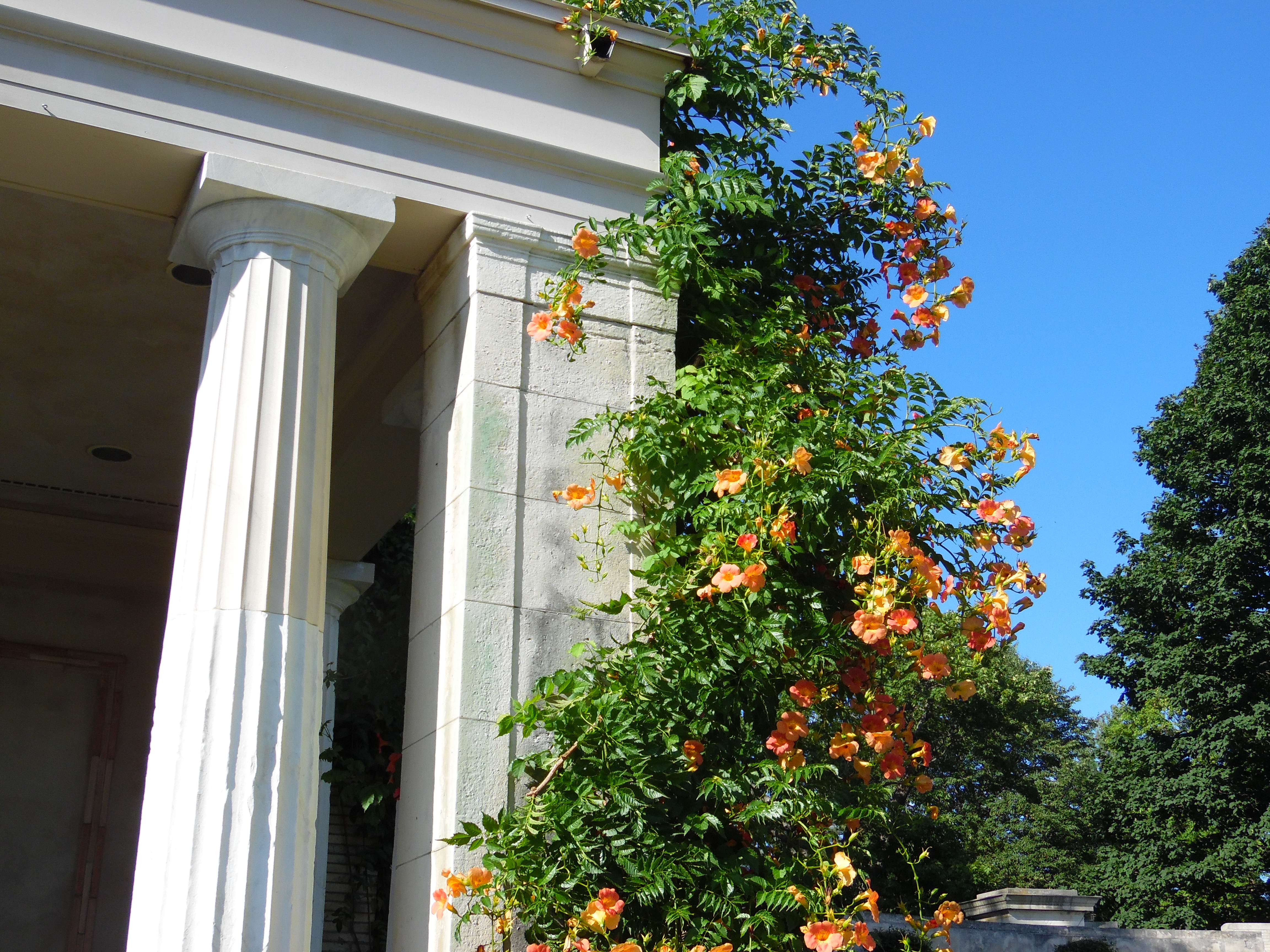 In God’s Garden In God’s Garden