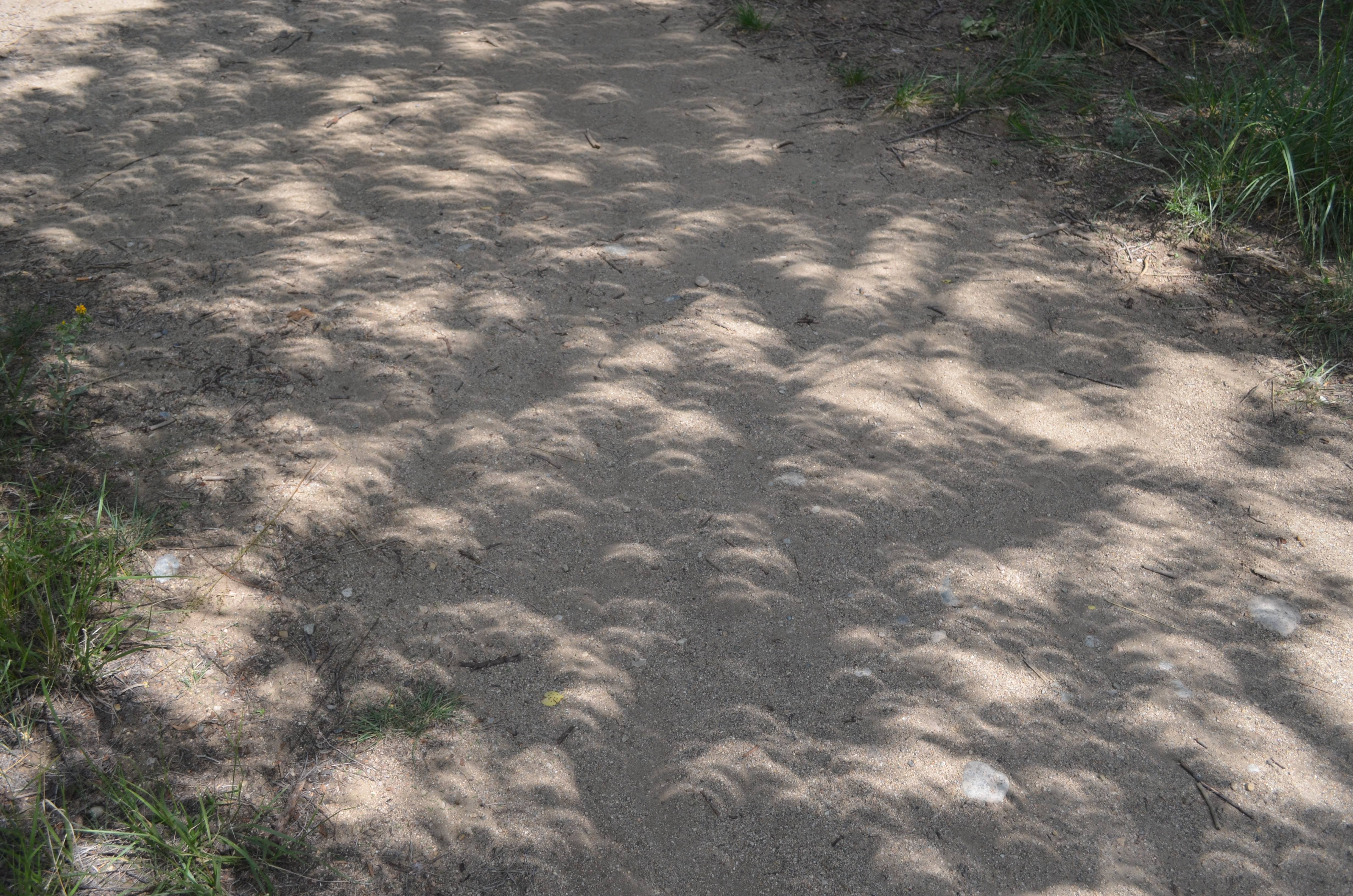 Never Eclipsed by Shifting Shadows Never Eclipsed by Shifting Shadows