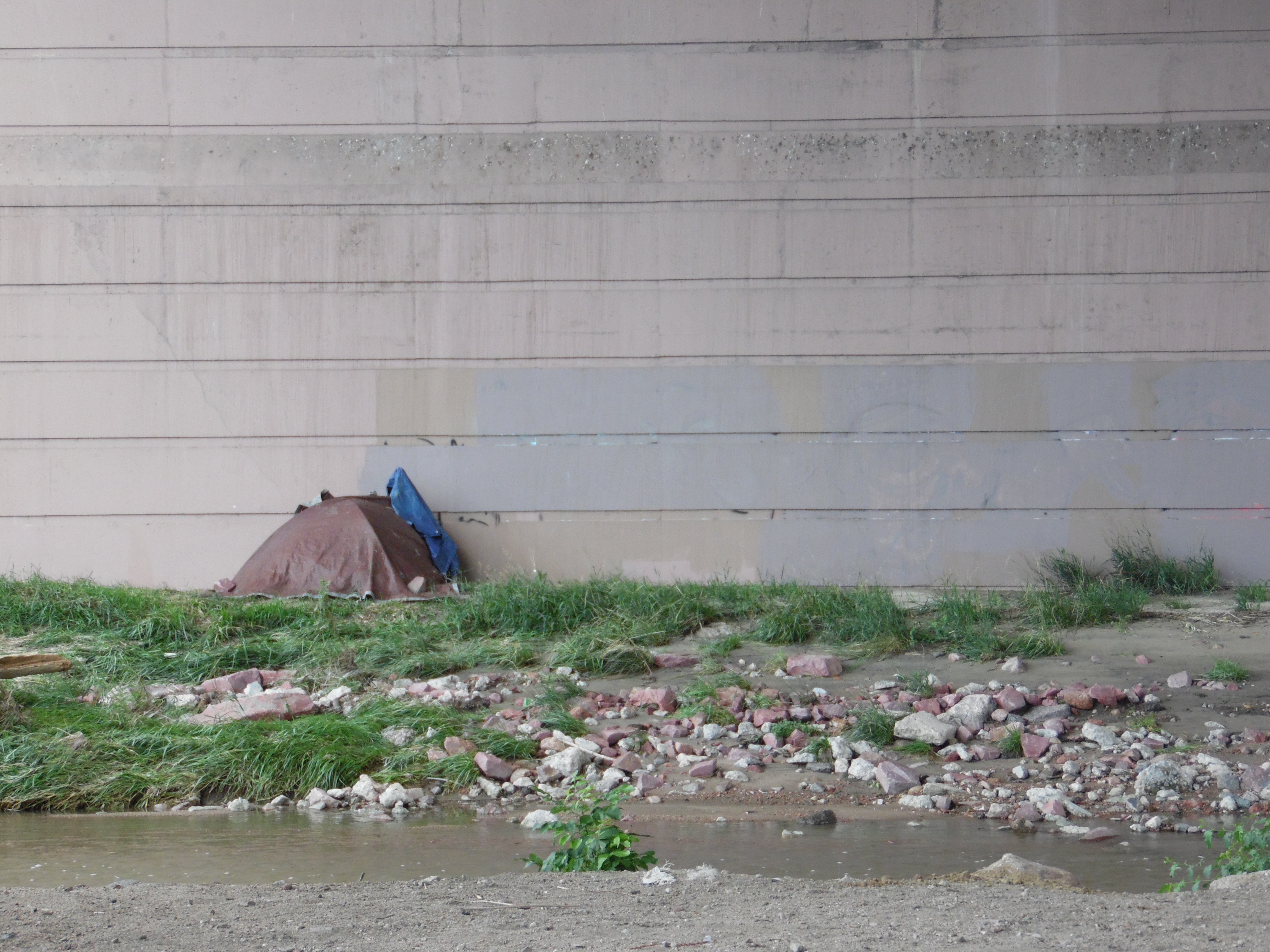 Homeless Homeless