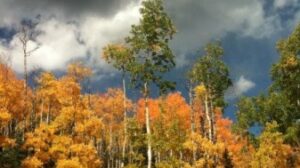 God’s Rain of Faithfulness God’s Rain of Faithfulness