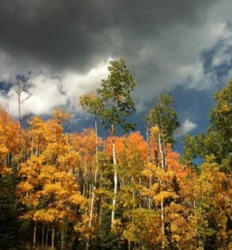 God’s Rain of Faithfulness